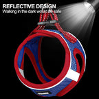 Dog Harness for Small Dogs and Leash Set, Honeycomb Grid, Reflective Lightweight Harness & Anti-Twist Pet Lead Multi Color, Size: XS-S-M. (M, Red & Blue)