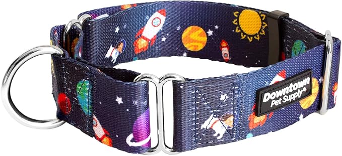 Downtown Pet Supply Big and Wide Durable Martingale Training Collars for Dogs and Puppy in Small,Medium,Large,and Extra Large Dog Collar (Space),X-Large: 18.5 inch-34
