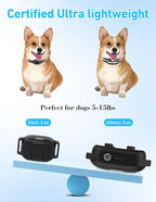Small Dog Shock Collar, Tailored for Small Dogs 5-15lbs & Medium, Lightest Training Collar with Beep Vibration, Light for Night Walks, 3300Ft Rechargeable E Collar with Remote IPX7 Waterproof