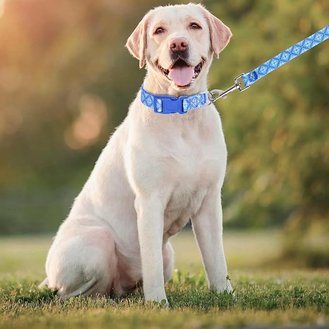Dog Collar with Leash Airtag Holder Case Set - Dog Collars for Male Female Boy Girl Puppy X-Small Small Medium Large Dogs Walking Running Training - Blue Geometry/L