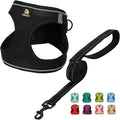 BELLA & PAL Step in Vest Harness for Small and Medium Dogs, No Pull Small Dog Harness with Leash Set, Comfortable Air Mesh Dog Vest Harness with Reflective Strip (Deep Black, XS)