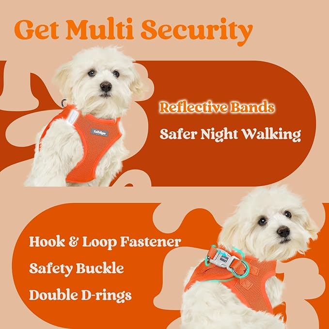 rabbitgoo Small Dog Harness, Step-in Soft Mesh Puppy Vest with Safety Buckle, Breathable Reflective Pet Harness for Extra Small Dogs, Orange XXXS