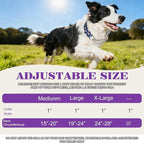 Martingale Dog Collar - Adjustable Anti-Pull Training Collar with Safe Choke Chain Design,Dinosaur Pattern for Medium,Large & XL Dogs (Dinosaur Large)
