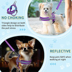 SlowTon No Pull Small Dog Harness and Leash Set, Puppy Soft Vest Harness Neck & Chest Adjustable, Reflective Lightweight Harness & Anti-Twist Pet Lead Combo for Small Medium Dogs (PU-Front Clip, XS)