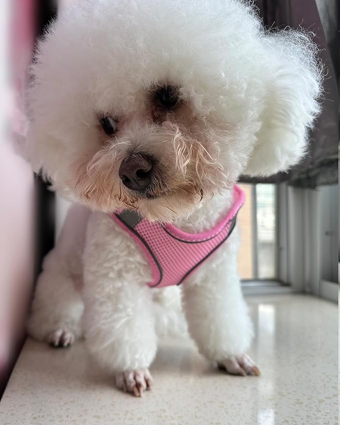Solmoony Dog Harness for Small Medium Dogs No Pull, Puppy Harness and Leash Set, Puppy Harness, Step in Harness for Small Dogs,mesh Dog Harness. (Pink, L)
