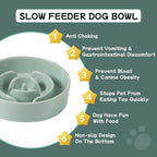 Ceramic 0.9 Cup Dog Bowl Slow Feeder for Small Dog, 6.1inch Pet Puzzle Slow Feeder, Stop Bloat, Preventing Choking(1 Bowl-Light Green)