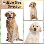 Metal Diamond Dog Chain Dog Training Chain with Secure Buckle Pet Collars for Large Medium Dogs