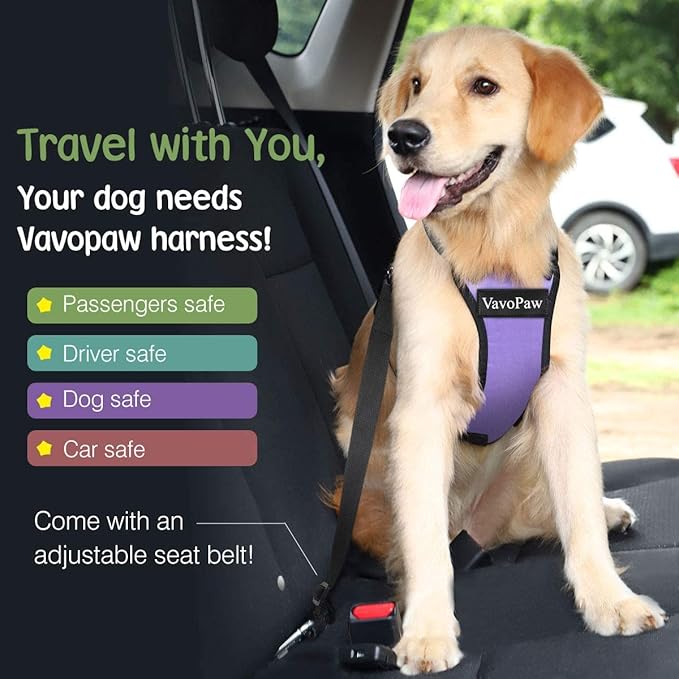 Dog Seat Belt, Safety Vest Dog Car Harness with Adjustable Buckle Dogs Seat-Belt for Vehicle Nylon Pet Safety Seats Belts Heavy Duty(M, Purple)