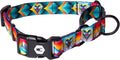 Wolfgang Heavy Duty Martingale Dog Collar with Quick Release Nylon Buckle for Walking & Training, MountainVibes Print, Medium
