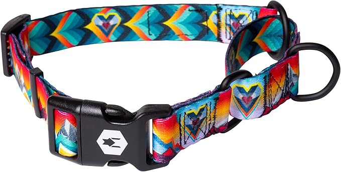 Wolfgang Heavy Duty Martingale Dog Collar with Quick Release Nylon Buckle for Walking & Training, MountainVibes Print, Medium