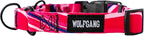 Wolfgang Heavy Duty Martingale Dog Collar with Quick Release Nylon Buckle for Walking & Training, MarbleSwirl Print, Small