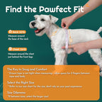 Eagloo Small Dog Harness and Leash Set, Step in Puppy Vest with Breathable Soft Mesh, Walking Reflective Pet Harness for Small Dogs, Forest Green, XS