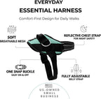 ShawnCo Essential Dog Harness, No-Pull Pet Vest with 3 Leash Clips, No Choke, Reflective, Adjustable and Padded, for Easy Walking and Training for Small, Medium and Large Dogs (Seafoam, M)