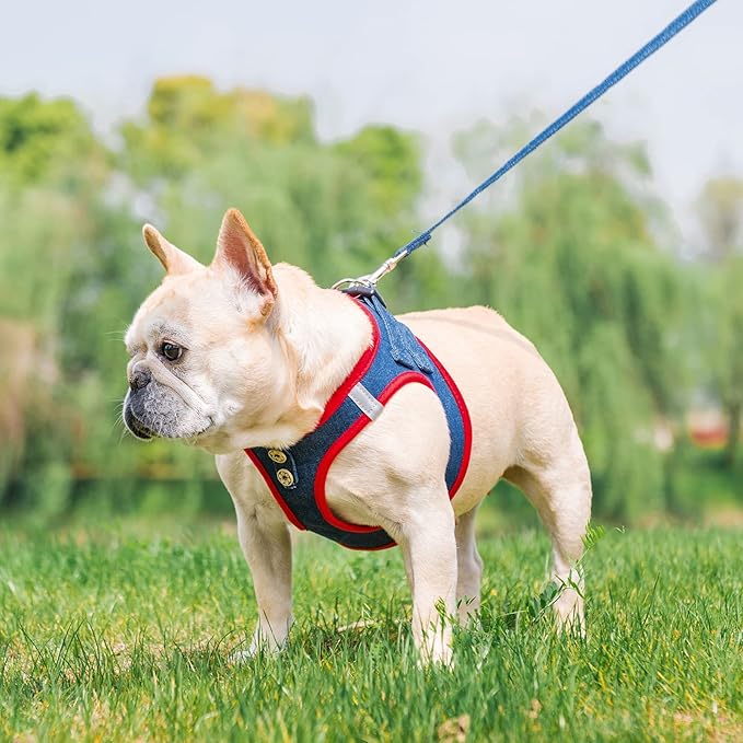 PUPTECK Dog Harness and Leash Set for Small Medium Dogs No Pull Step-in Soft Mesh Puppy Cat Vest Harnesses Reflective at Night, Denim NavyBlue S