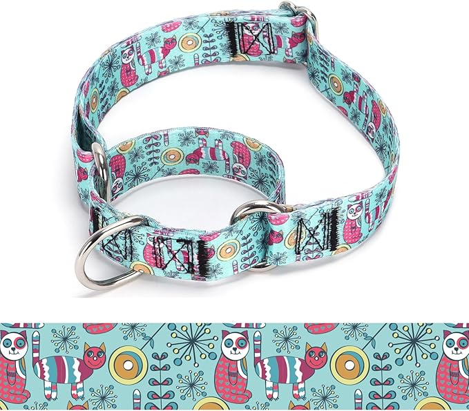 Martingale Dog Collars - Flower Multicolor Cute Patterns, Adjustable Nylon Training Dog Collar Suitable for Boy and Girl Dogs Medium Large Dogs (15, L)