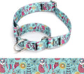 Martingale Dog Collars - Flower Multicolor Cute Patterns, Adjustable Nylon Training Dog Collar Suitable for Boy and Girl Dogs Medium Large Dogs (15, L)
