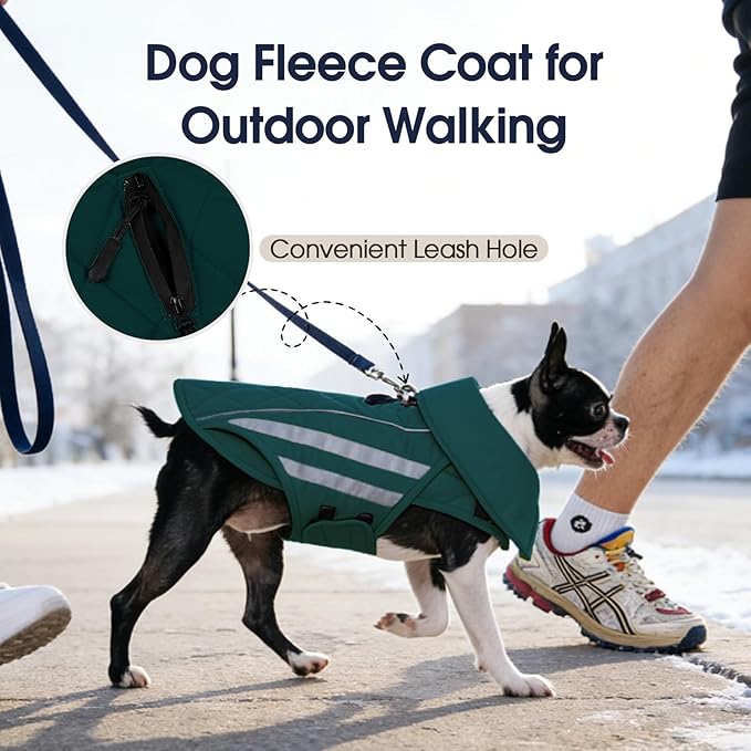 IECOii 4XL Winter Dog Coat - Adjustable Warm Fleece Jacket Reflective Cold Weather Coats Waterproof Dogs Vest for Barrel Chest Giant Breeds, Great Dane, Snow & Rain Walking, Skiing, Green, Sizes XXXXL