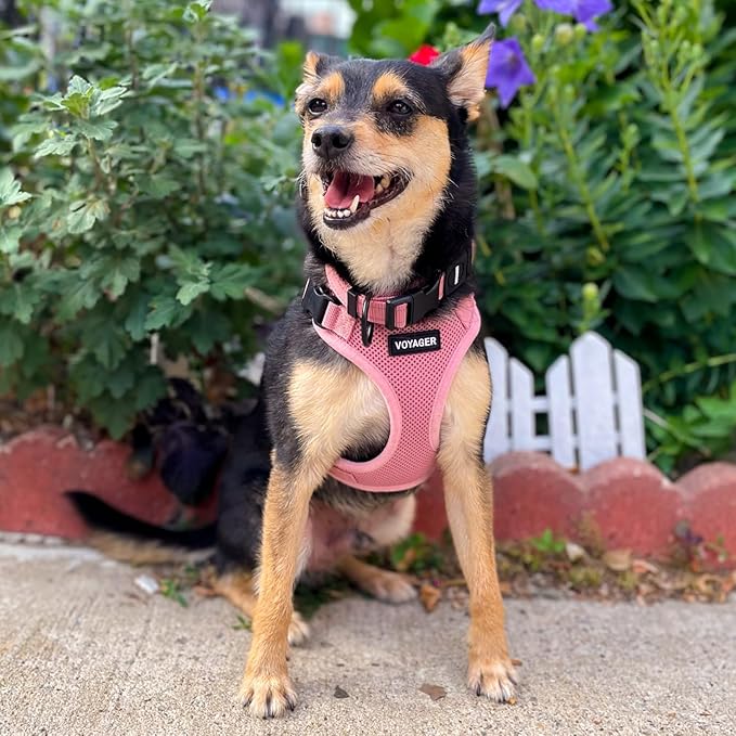 Voyager Step-in Pet Harness - All Weather Mesh, Adjustable Step in Harness for Cats and Dogs by Best Pet Supplies - Pink, L