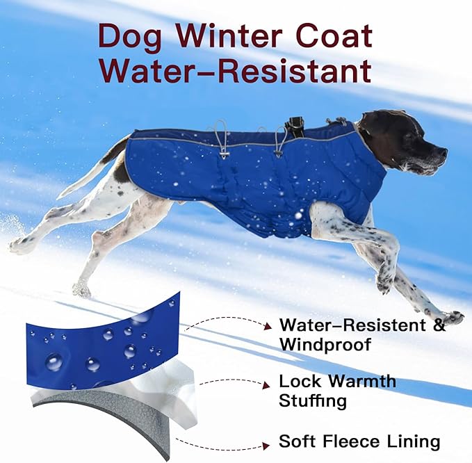 Dog Winter Jacket - Large, Warm Zip Up Snowsuit Dog Harness Vest, Reflective, Water-Resistant, Royal-Blue