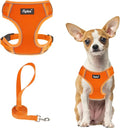 PUPTECK Small Dog Harness and Leash Set, No Pull Adjustable Puppy Cat Harness, Reflective Soft Mesh Pet Vest Small Sized, Orange, XS