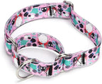 Serijoars Adjustable Martingale Dog Collar Heavy Duty Nylon Dog Collar for Medium Large Dogs Walking Training Boy and Girl Dogs (NO9, M)