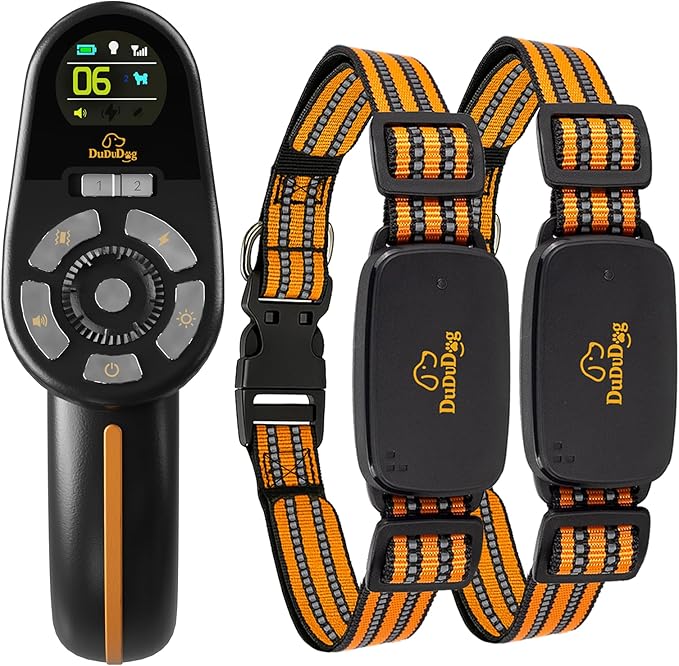 Adjustable Shock Levels Dog Training Collar with 9.8 FT Retractable Leash – Remote E-Collar for 2 Dogs, 3200 FT Range, Color Screen, Beep Vibration Static, IP67 Waterproof, USB-C Rechargeable