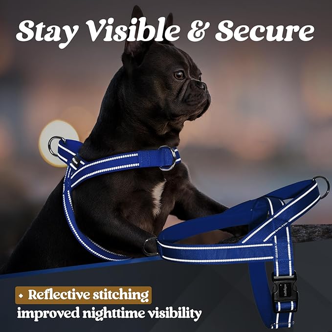 rabbitgoo Dog Harness No Pull, Quick Fit for Small Dogs with Soft Padded Handle, Chest Adjustable Reflective Pet Vest, No Choke Escape Proof for Walking Training, Blue S