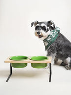 Elevated Dog Bowls, Raised Dog Bowl Stand with Two 6.5 inch Ceramic Bowl, Non-Slip Puppy Food and Water Bowls, Dogs Feeder for Small and Medium Breed,Green