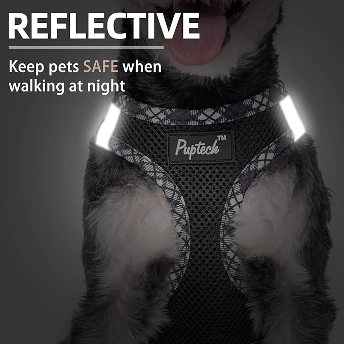 PUPTECK Dog Harness and Leash Set for Small Medium Dogs No Pull Step-in Soft Mesh Puppy Cat Vest Harnesses Reflective at Night, Black XS