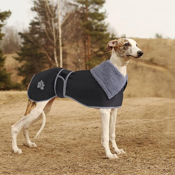 Geyecete Dog Winter Coat Geyecete Greyhound Raincoat Fabric with Lamb Velvet Inside Outdoor Dog Apparel with Adjustable Bands for Medium, Large Dog-Black-L