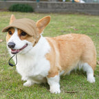 Dog Baseball Cap, Dog Cat Summer Beach Visor Hat with Ear Holes, Adjustable Puppy Sunbonnet Headdress (Brown, Small)