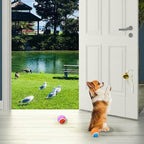 2Pcs Metal Dog Doorbell, Shopkeepers Doggy Training Bell Wall Mounted for Home Decoration Store Entry Door Chime, Store Door Bell for Housebreaking/Housetraining Door Bell/Potty Training (White)