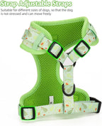 Dog Harness and Leash Set, Adjustable Dog Harness, Dog Leash, No Pull No Choke Puppy Harnesses for Walking Training for Small Medium Pet
