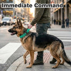 Joytale Tactical Dog Collar for Medium Dogs with Control Handle, Heavy Duty Military Training Collar for Power Breeds, AirTag Holder Case, Quick Release Metal Buckle, Soft Padded, M, Teal