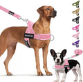 Lukovee No Pull Dog Harness & Leash Set - Heavy Duty Dog Vest Harness with Soft Padded for Medium Large Dogs, Adjustable Reflective Tactical Pet Harness for Easy Walk and Training (M, PI)