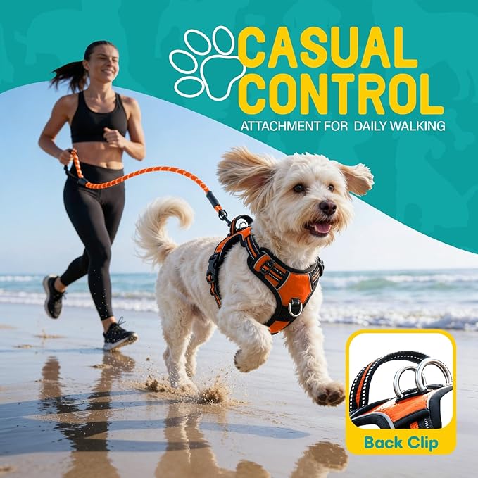 No Pull Dog Harness and Leash Set for Small Dogs – Adjustable Reflective Breathable Soft Padded Easy Control Dog Harness for Training & Walking, Orange (Small)