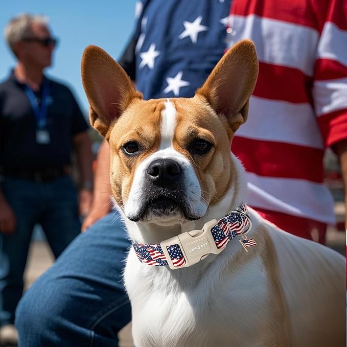 ARING PET 4th of July Collars for Dogs, Fourth of July Patriotic American USA Flag Red White Blue Dog Collar for Puppy Small Medium Large Boy Girl Doggy-M