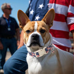 ARING PET 4th of July Collars for Dogs, Fourth of July Patriotic American USA Flag Red White Blue Dog Collar for Puppy Small Medium Large Boy Girl Doggy-M