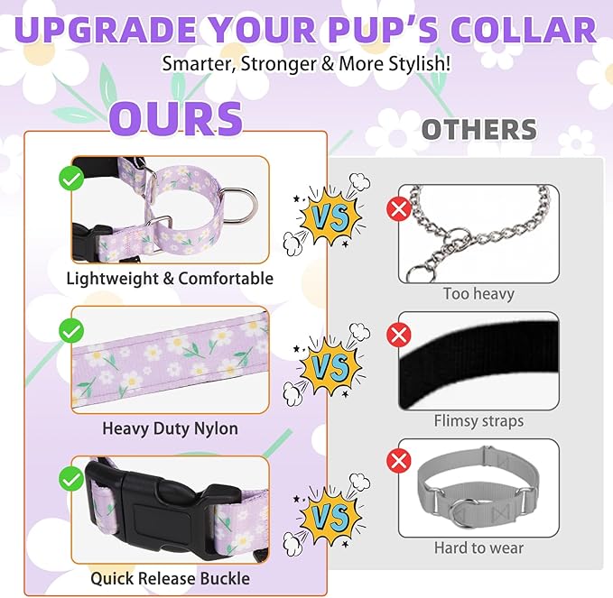 KOOLTAIL Martingale Collar for Dogs for Small Medium Large Dogs, Soft Padded Nylon No Pull Dog Collar with Buckle, Adjustable No Slip Heavy Duty Durable Puppy Training Collar for Boys Girls, Purple M