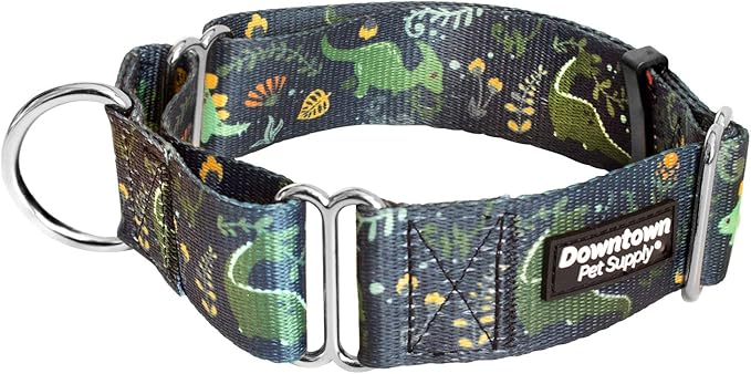 Downtown Pet Supply - Martingale Collar for Dogs - Dog Training Collar - Big, Wide & Thick Dog Collar - Escape-Proof, Weatherproof, Durable and Comfortable - Dino - Medium Dog Collar