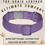 ADITYNA Leather Dog Collar with Metal Buckle - Heavy-Duty, Adjustable for Medium & Large Dogs - Walking, Training, Hiking (Purple, Fits 15-21" Necks)