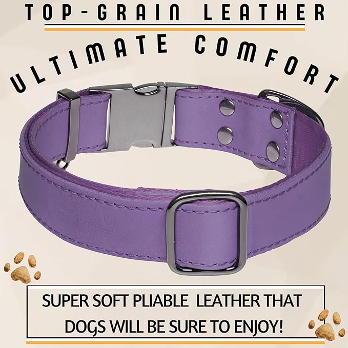 ADITYNA Leather Dog Collar with Metal Buckle - Heavy-Duty, Adjustable for Medium & Large Dogs - Walking, Training, Hiking (Purple, Fits 15-21" Necks)