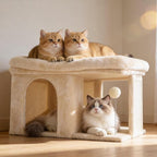 Heybly Cat Tree, 14 inch Cat Tower with Large Perch Bed and Cat Condo for Indoor Cats Large Adult, Cat House with Scratching Posts and Interactive Spring Balls for Your Kittens, Beige HCT203SM