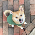 Gooby Stretch Fleece Vest Dog Sweater - Forest Green, X-Large - Warm Pullover Super Stretchy Fleece Dog Jacket for Small to Large Dogs