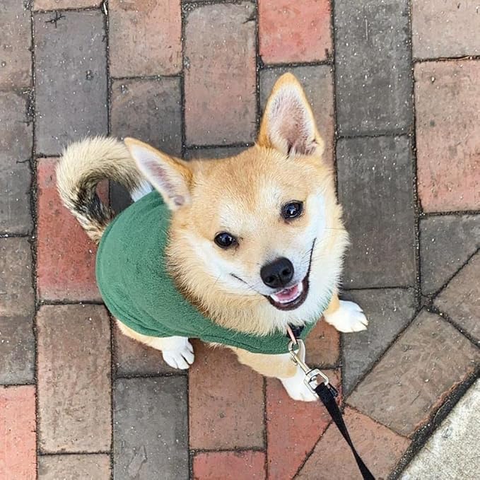 Gooby Stretch Fleece Vest Dog Sweater - Forest Green, Large - Warm Pullover Super Stretchy Fleece Dog Jacket for Small to Large Dogs