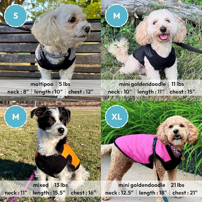 Gooby Fashion Vest Dog Jacket - Pink, Small - Warm Zip Up Bomber Vest with Dual D Ring Leash - Winter Water Resistant Small Dog Sweater