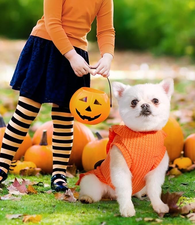 Dog Dresses, Lovely Dog Princess Dress, Turtleneck Puppy Skirt with Velvet Bowknot for Small Medium Dogs Girl (Orange, S)