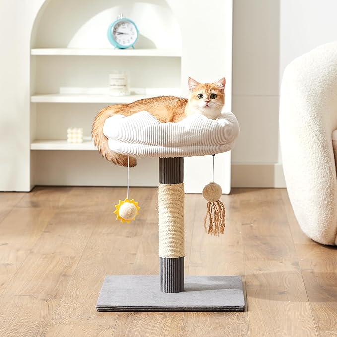 Gardner Pet 20" Cat Tree, Solid Wood Small Cat Tree with Cat Scratching-Posts & Hanging Toys for Kittens(Grey, Circle-Corduroy)