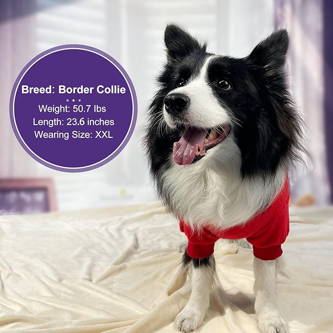 cyeollo Warm Dog Pajamas Winter Coats Fleece Dog Pjs Stretchy Turtleneck Thermal Pet Clothes Medium Dogs Pajamas for Cold Weather, Red 2XL