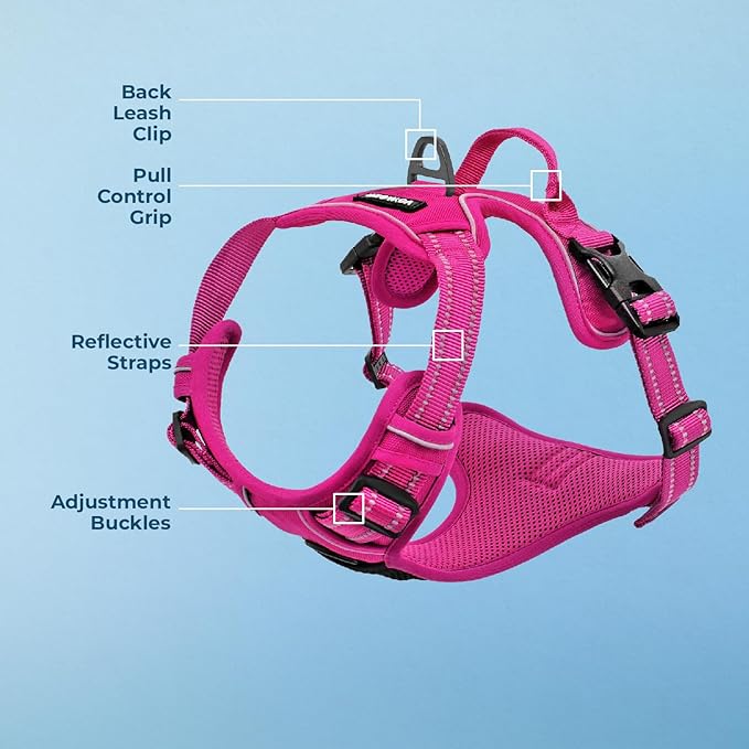 Voyager Dog Harness Dual Leash Attachment No-Pull Control Adjustable Soft but Strong Pet Harness for Medium and Large Dogs with 3M Reflective Technology, Fuchsia Nylon, XS (Chest: 13-16")